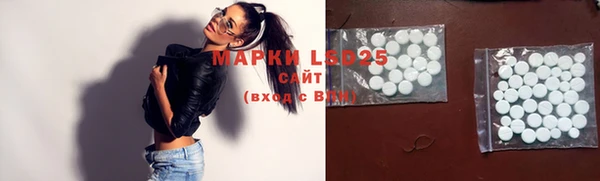 молекула духа Вязьма