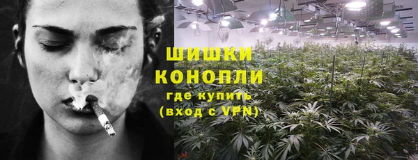 гидропоника Горнозаводск