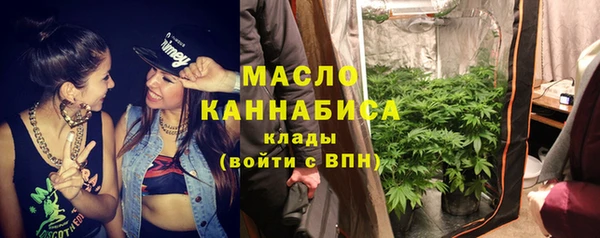 молекула духа Вязьма