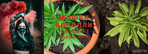 мяу мяу мука Вяземский