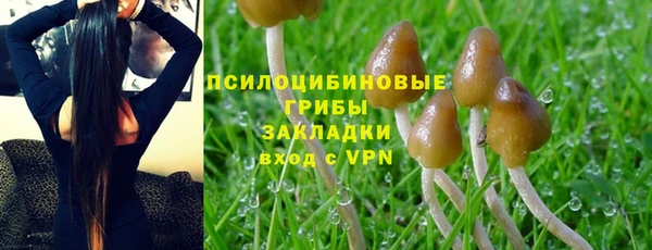 молекула духа Вязьма