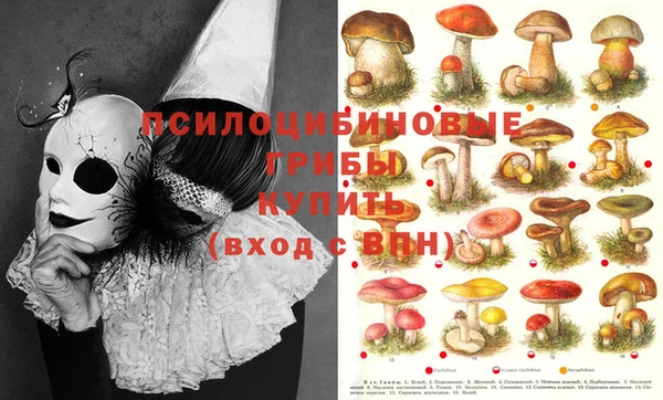 молекула духа Вязьма