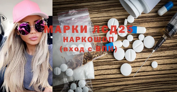 гидропоника Горнозаводск